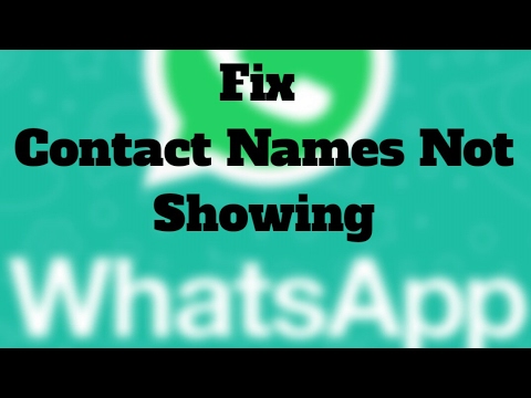 Fix - WhatsApp Not Showing Contact Names but Only Numbers