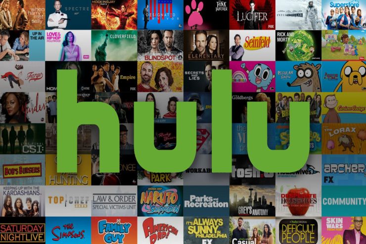 How To See And Delete HULU Watch History