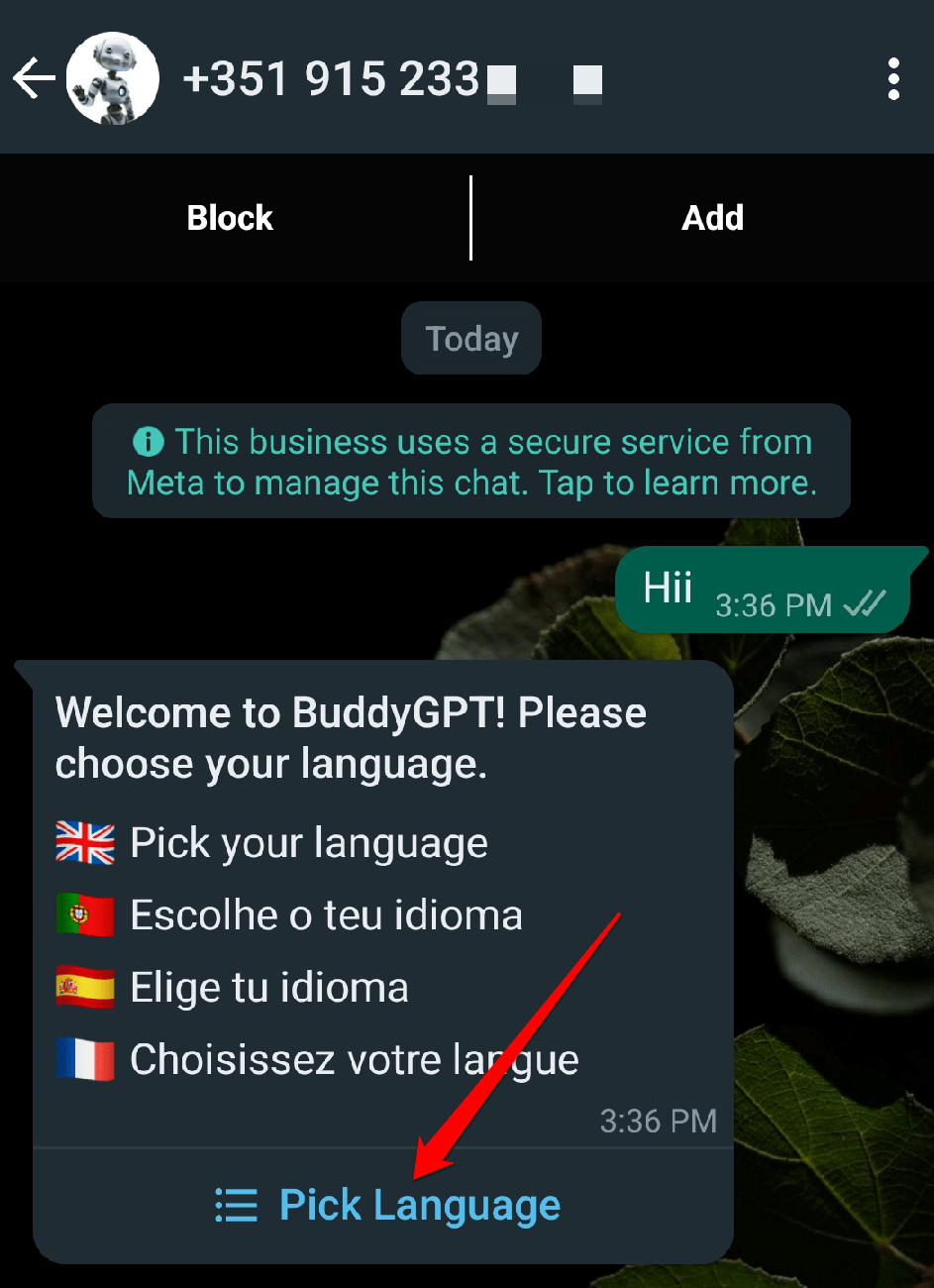 Type hi and pick your language.