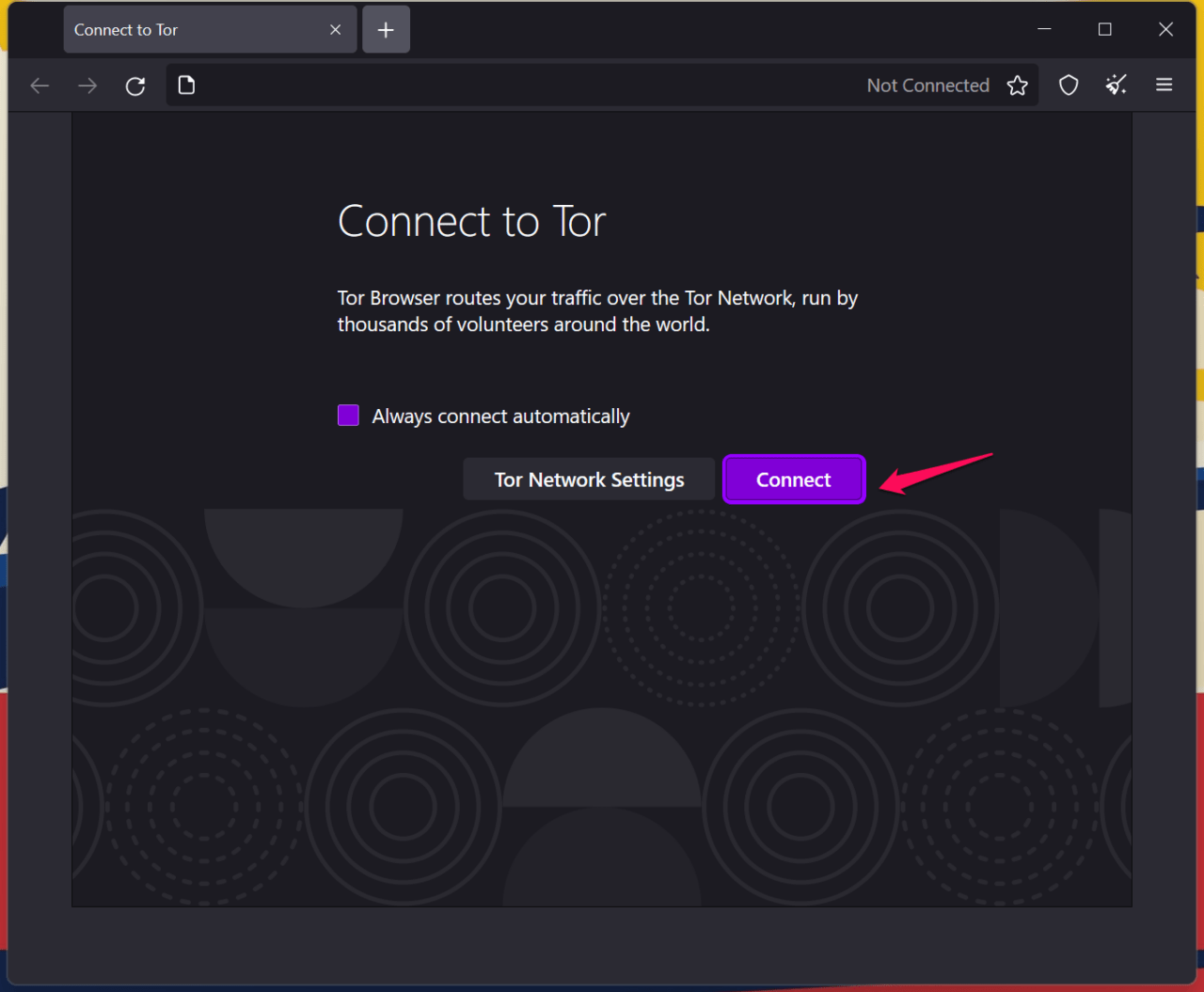 Tor browser not started megaruzxpnew4af почему браузер тор не работает megaruzxpnew4af