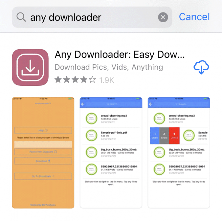 download the last version for ios Any Video Downloader Pro 8.7.7