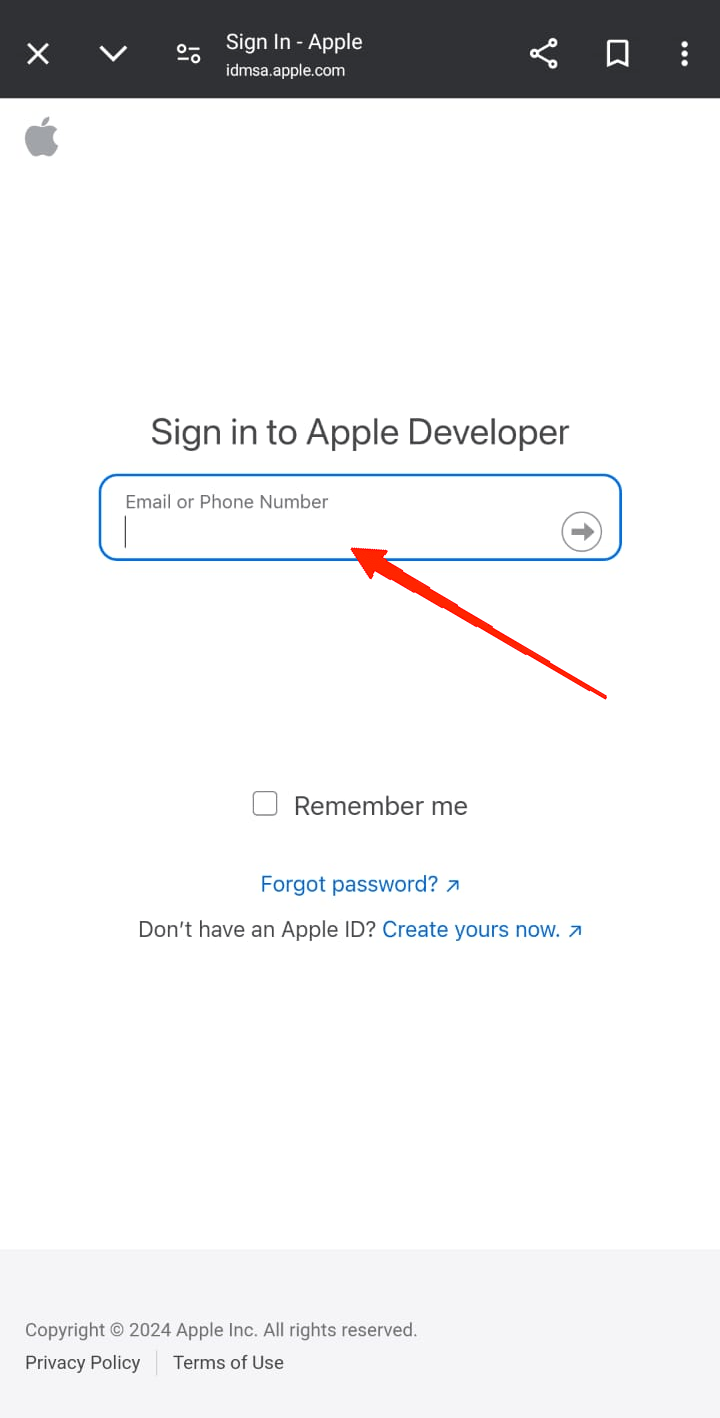 Now, fill in your Apple ID credentials to log in.