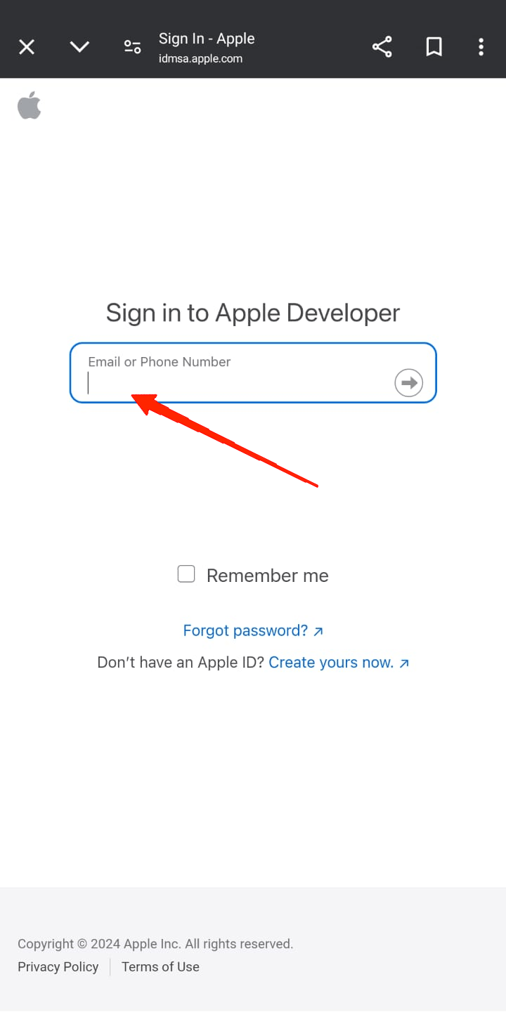 Now, log in with your Apple ID.