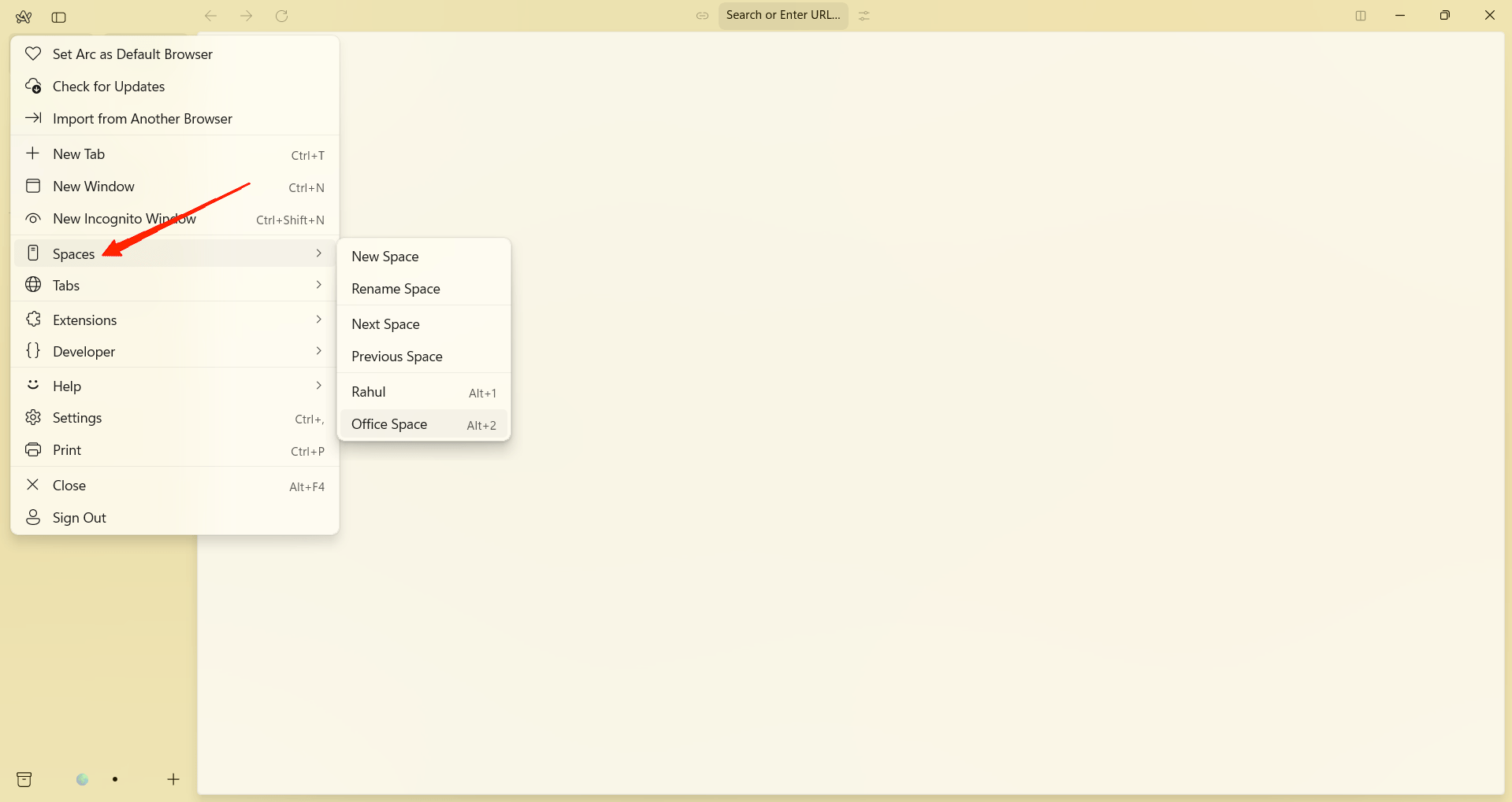 Arc spaces feature