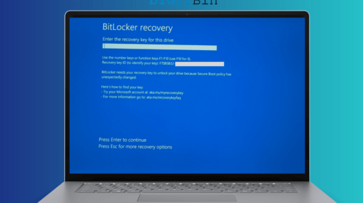 BitLocker Key - Enter the recovery key for this drive