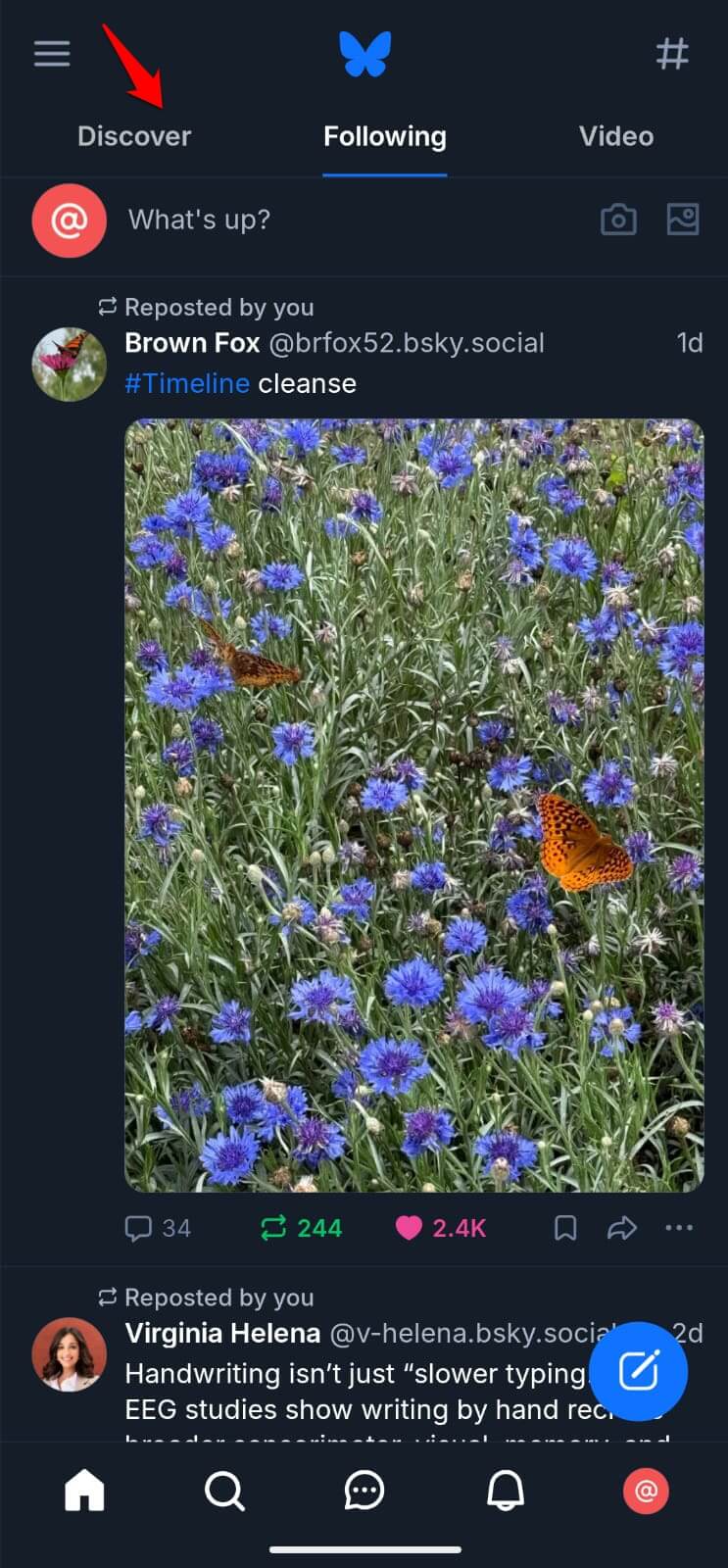 Bluesky social media feed