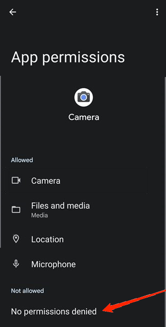 Check Camera App Permission