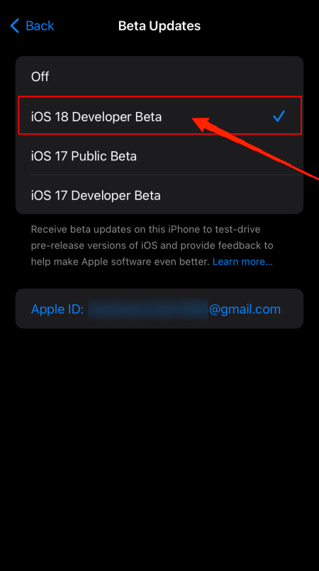 Check the iOS 18 Beta option.