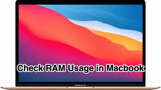 Check RAM Usage in Macbook