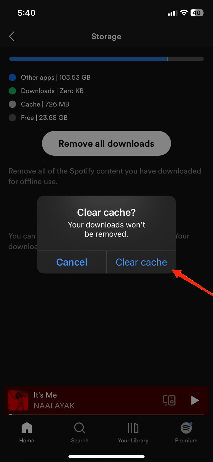 spotify app clear storage confirm