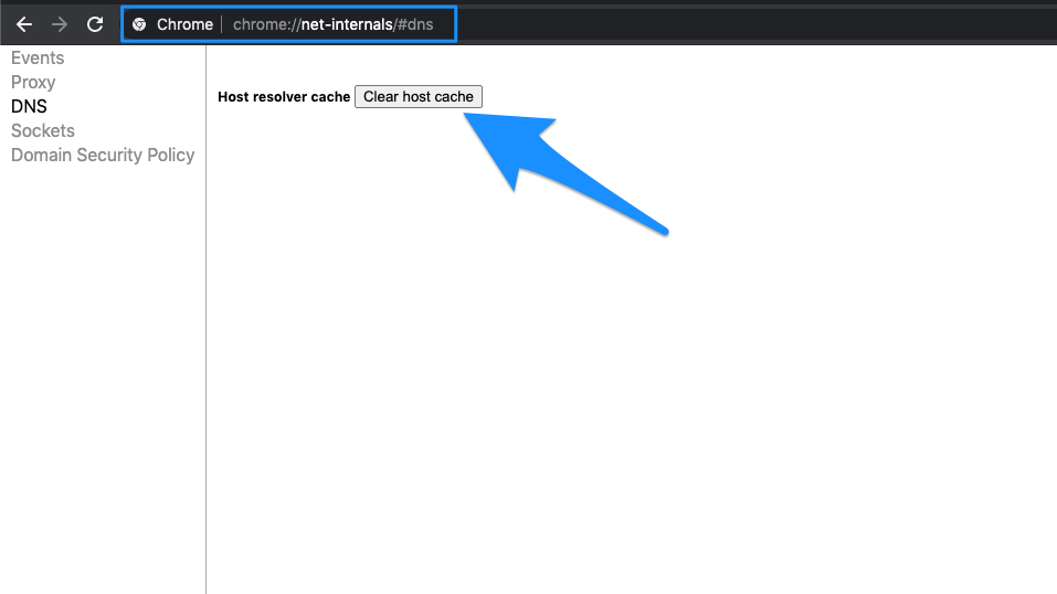 Clear Host DNS