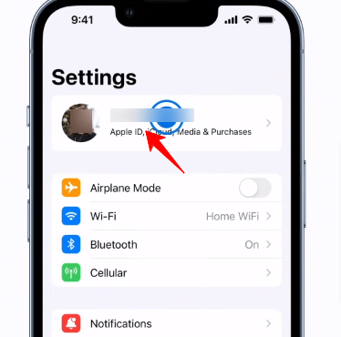 Click on Profile on iPhone Settings