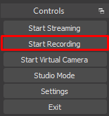Click on “Start Recording” to begin capturing the screen