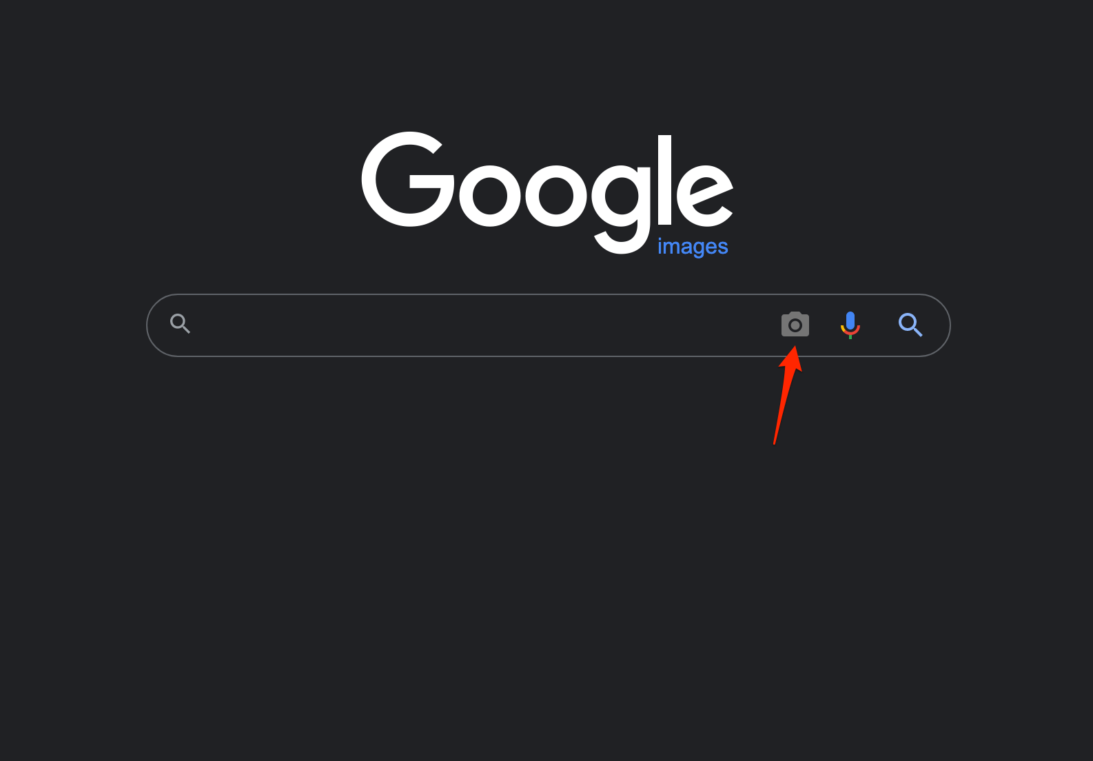 Click on Camera Icon Google Image Search