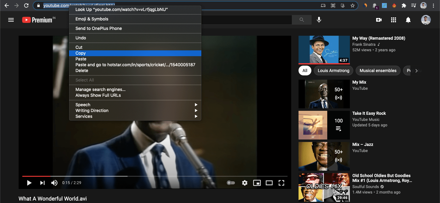 YouTube Playlist Downloader for PC   Windows   Mac - 6