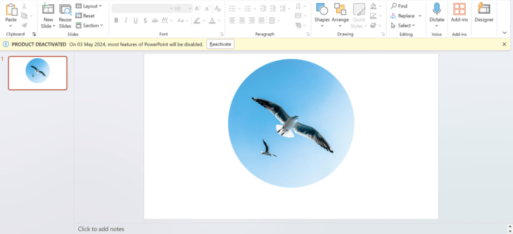 How to Crop a Picture Into a Circle in MS PowerPoint