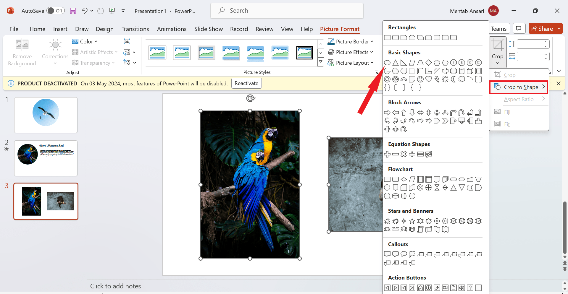 How to Crop a Picture Into a Circle in MS PowerPoint