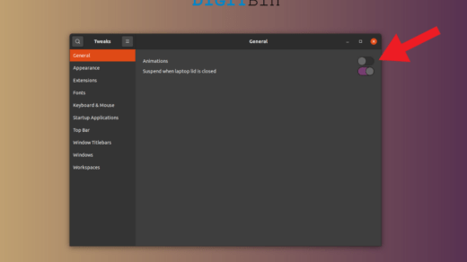 Disable Animations in Ubuntu