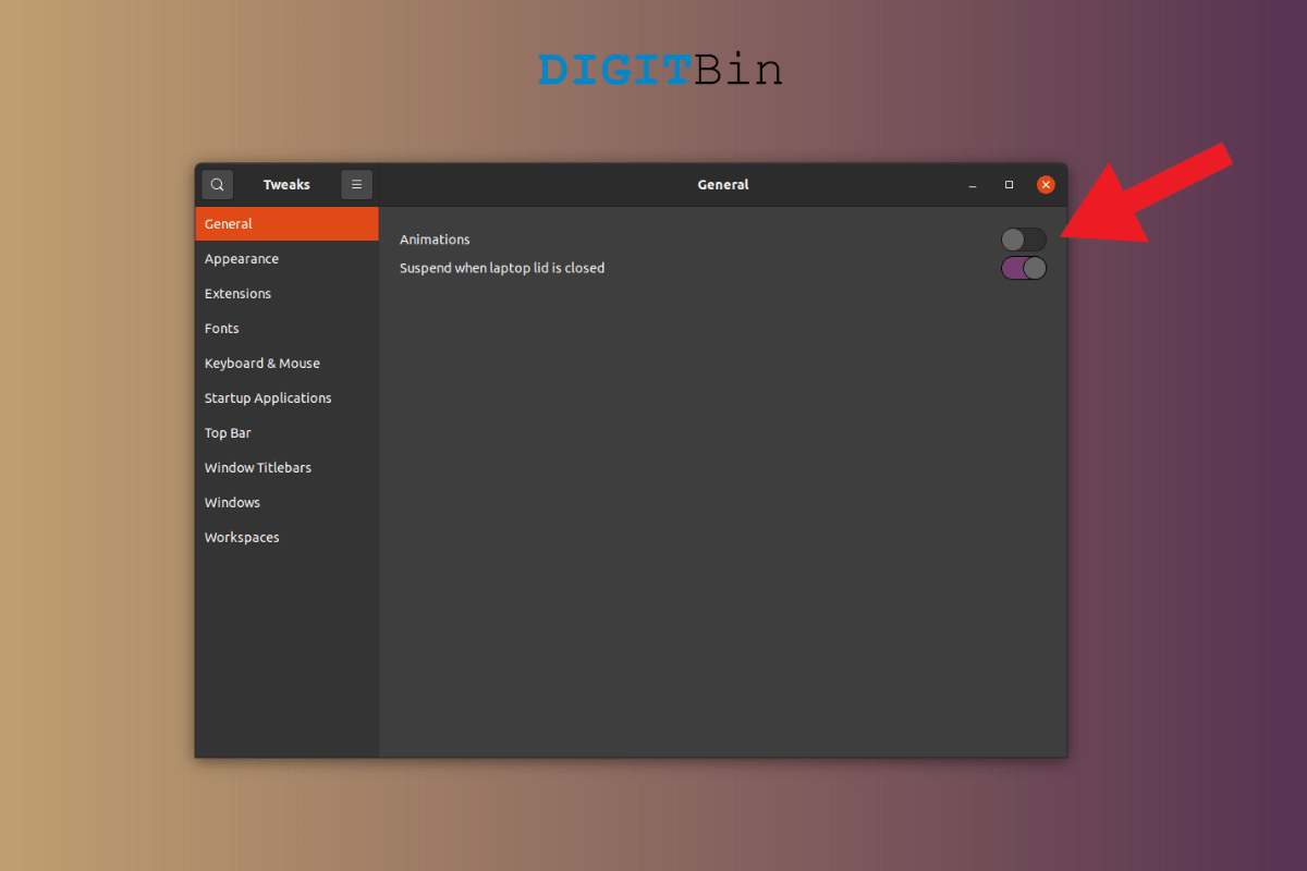 How to Disable Animations in Ubuntu? – DigitBin