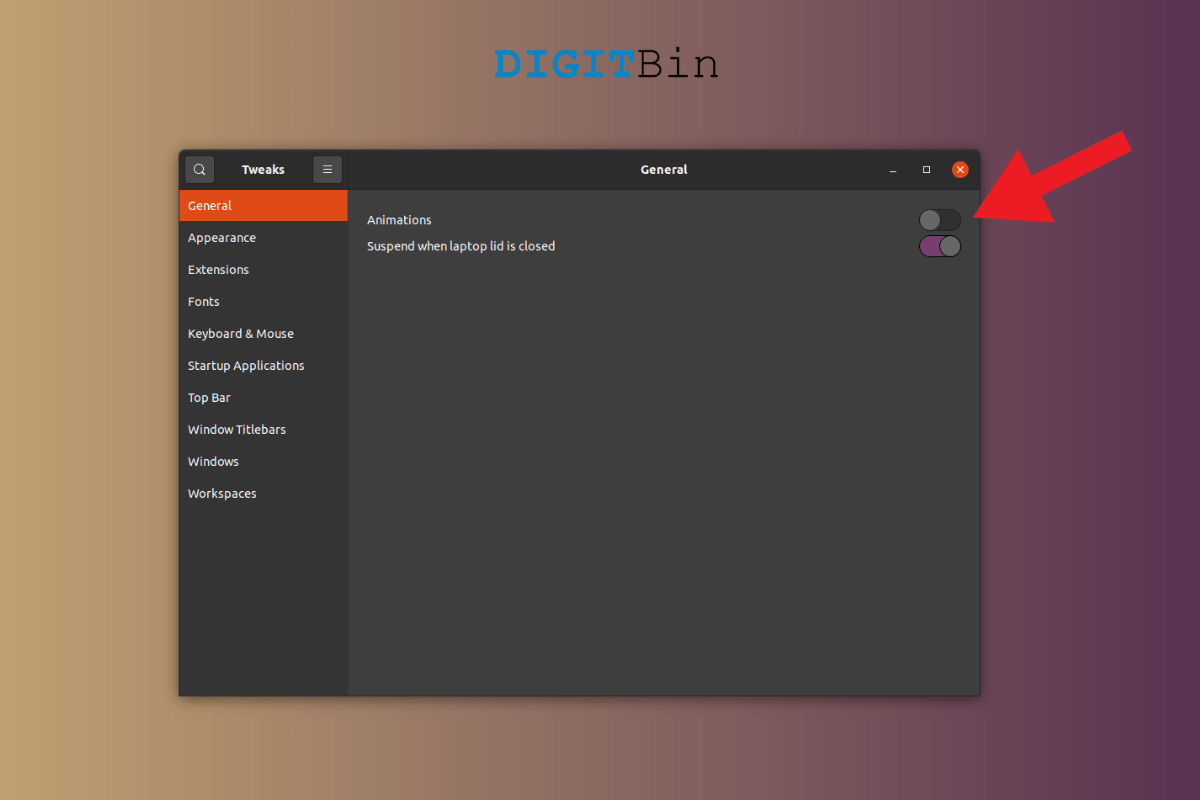 Disable Animations in Ubuntu