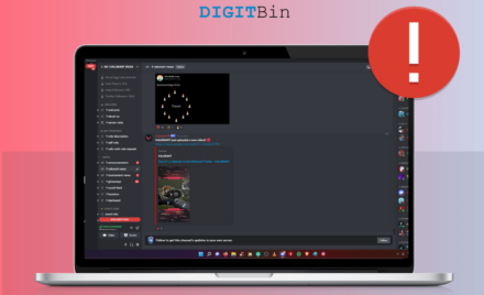 Discord Screen Share
