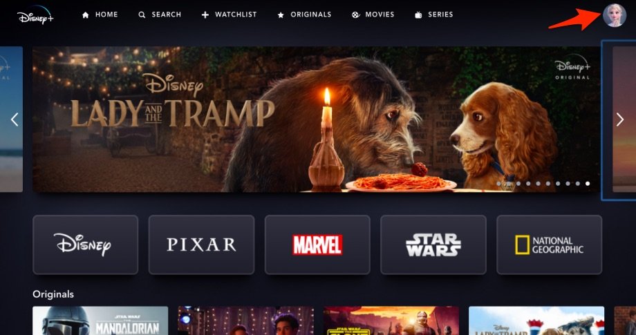 Disney Plus Account