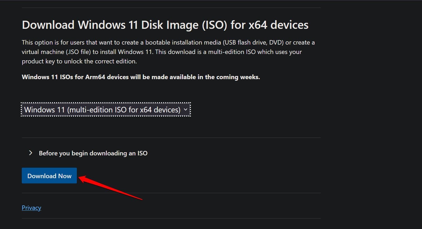 Download Disk Image ISO