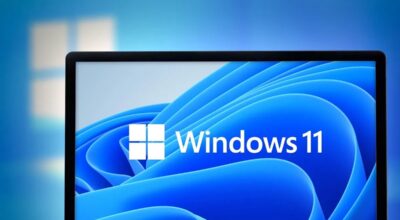 Download_Windows_11_23H2_Official_ISO_File