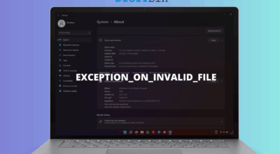 EXCEPTION ON INVALID FILE Error in Windows 11
