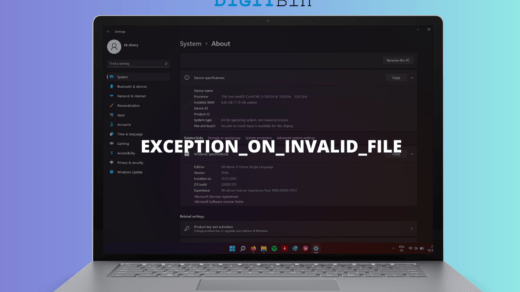 EXCEPTION ON INVALID FILE Error in Windows 11