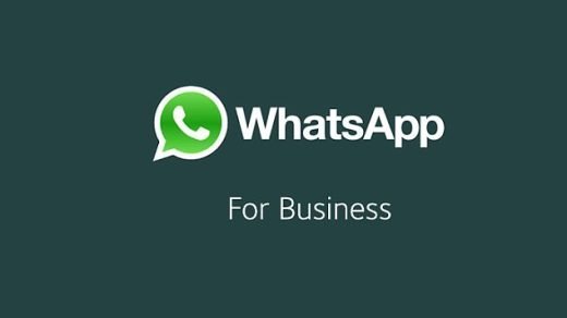 Earn Money using WhatsApp