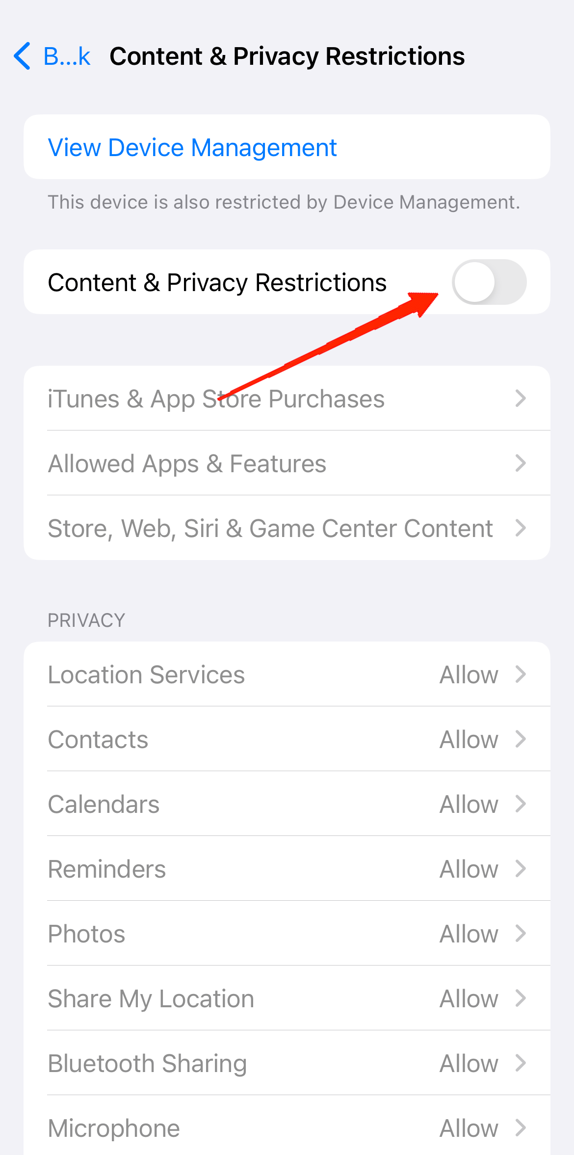 Enable the toggle for Content & Privacy Restrictions.