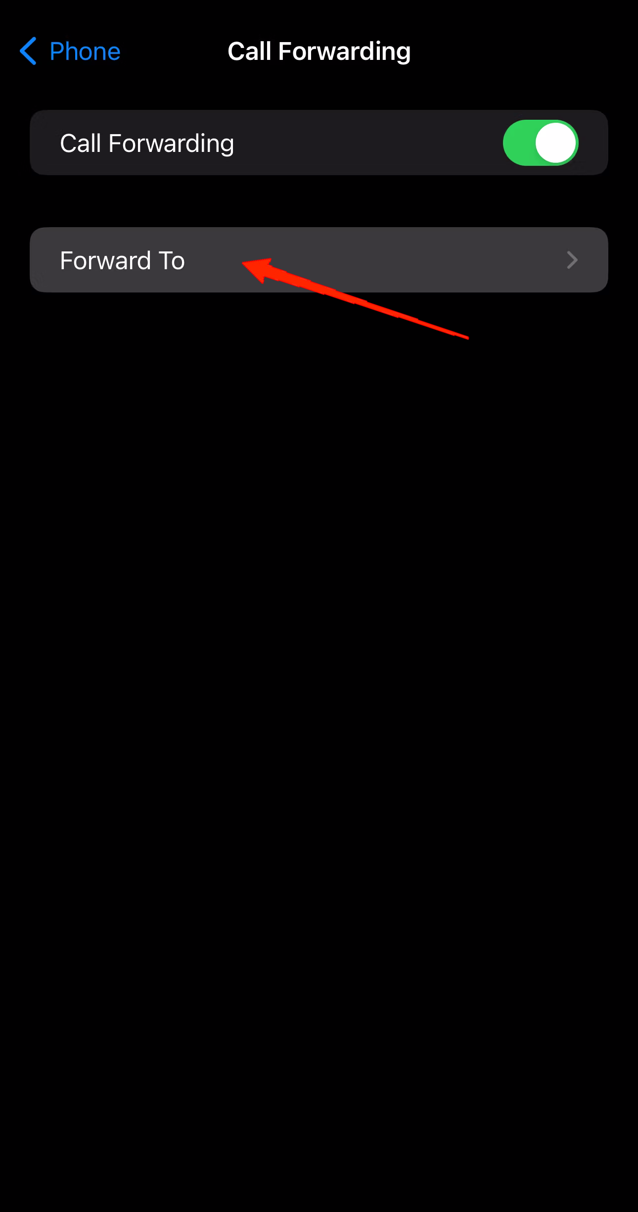 Ensure that the Call Forwarding option is turned on and then tap on 'Forward to'.