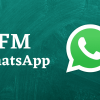 FM Whatsapp Apk Download [Latest Version][Jan 2023]