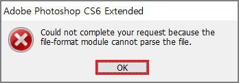 PhotoShop Fixed  File Format Module Cannot Parse the File - 35