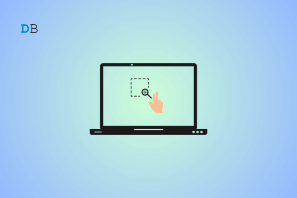 How to Fix Pinch to Zoom Not Working Windows 11? 6