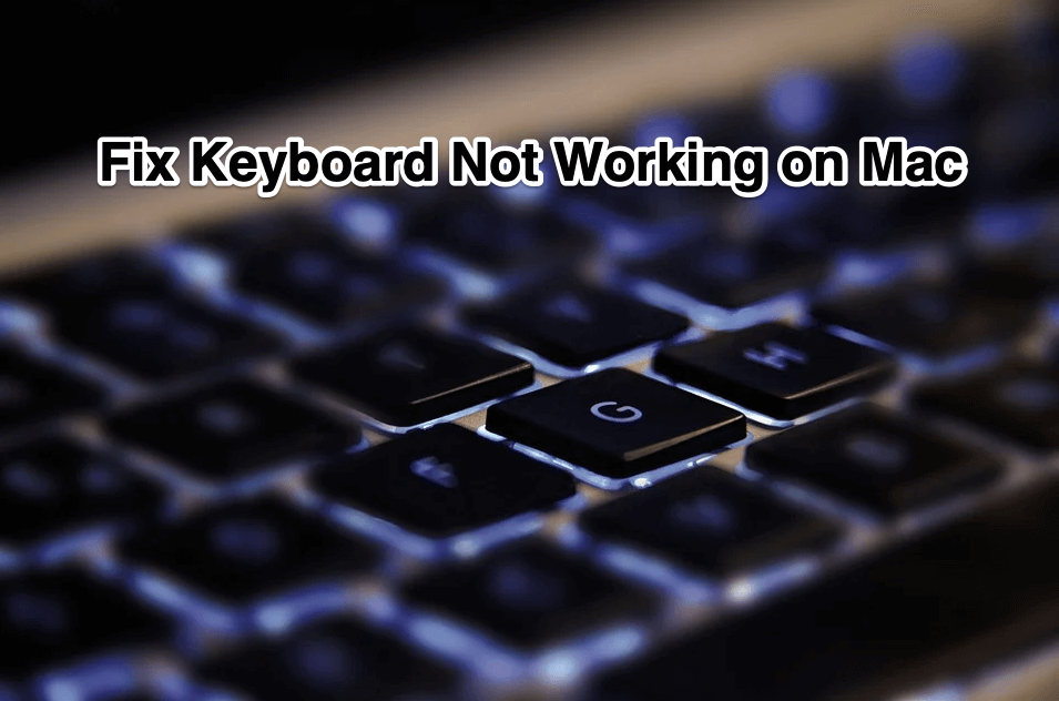 Fix Keyboard Not Working on Mac