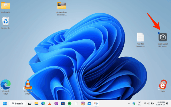 Fix Learn More this Picture' Icon in Windows 11