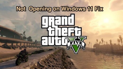 GTA 5 Not Opening on windows 11