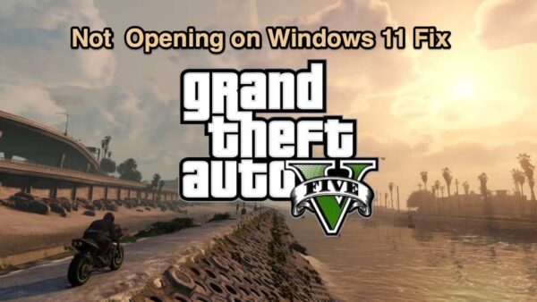 GTA 5 Not Opening on windows 11