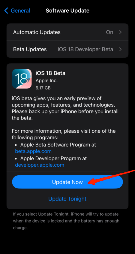 Go back and tap on the 'Update Now' button.