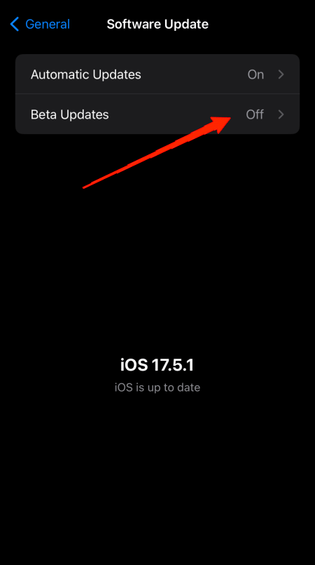 Go to General, then Software Updates, and tap on Beta Updates.