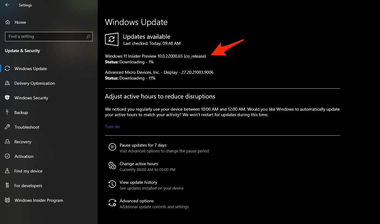 Go back and then go to Windows Update. You should find Windows 11 Insider Preview in the list