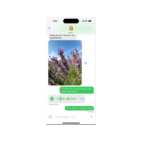 How to Enable RCS Messaging in iOS 18