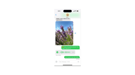 How to Enable RCS Messaging in iOS 18