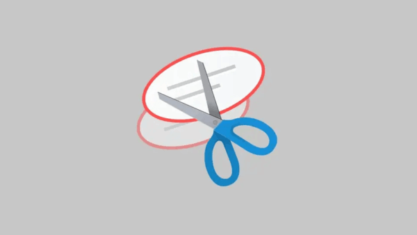 How to Fix Recording Stopped Error in Snipping Tool for Windows 11? 5