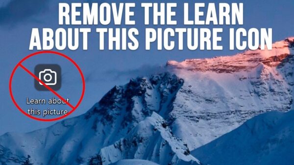 How to Remove the Spotlight Wallpaper Icon from Windows 11? 3