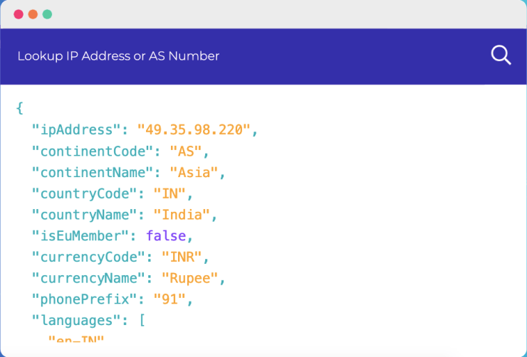 IP lookup Tool