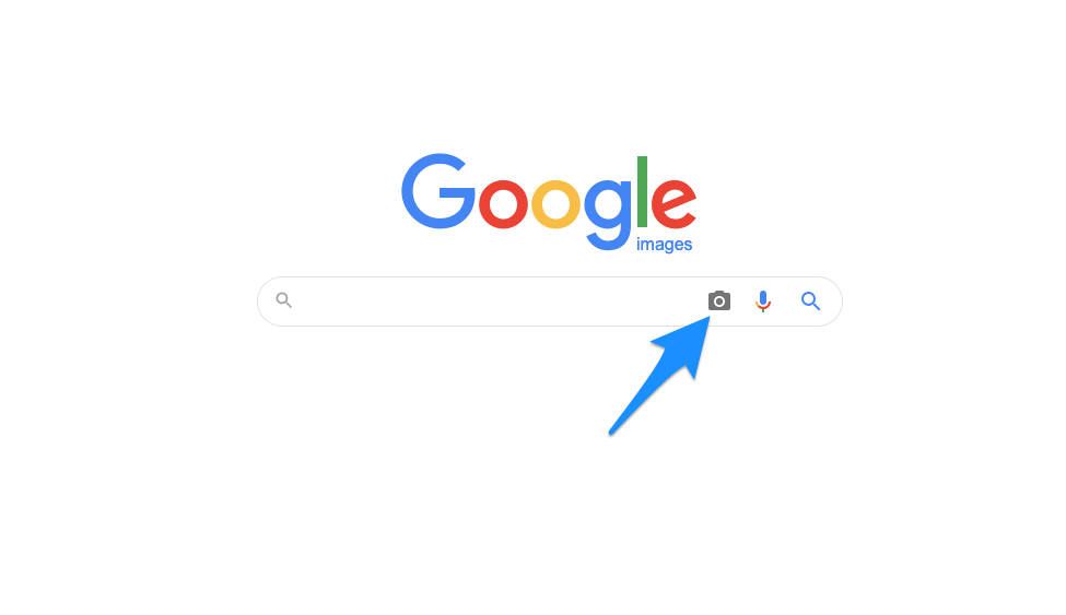 Image Search Icon