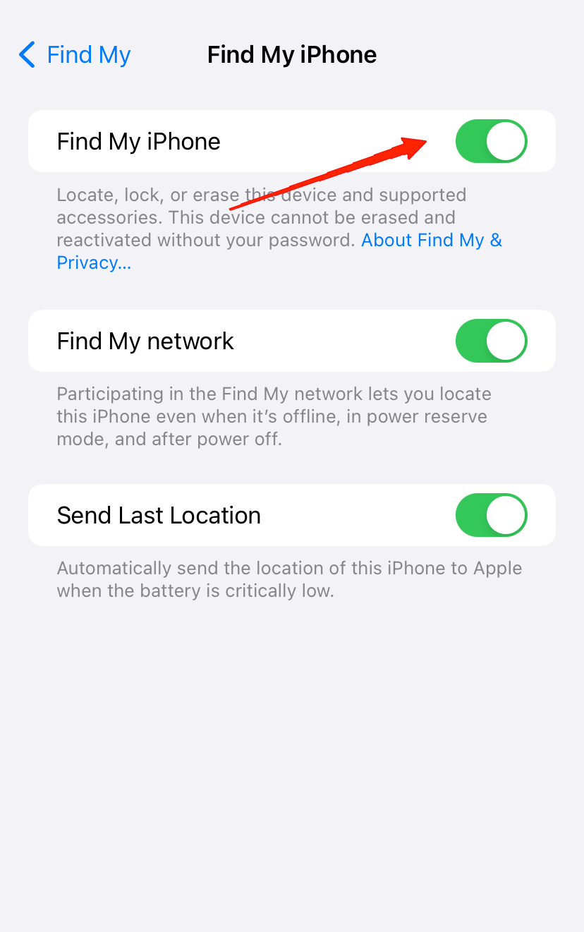 In the next step, you will enable the toggle beside Find My iPhone.
